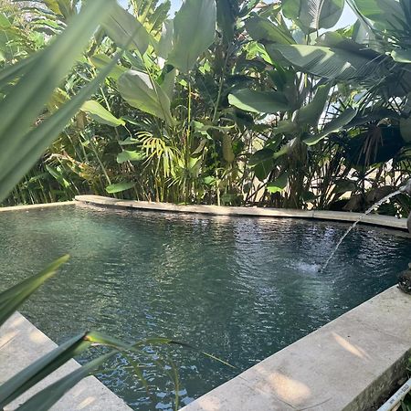 Dewa Jati Cottages 帕洋安 外观 照片