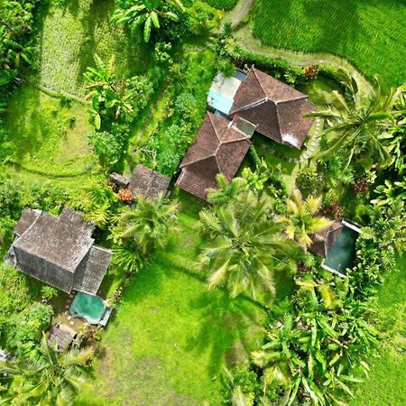 Dewa Jati Cottages 帕洋安 外观 照片