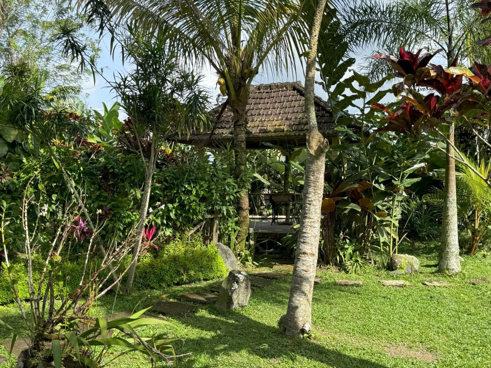 Dewa Jati Cottages 帕洋安 外观 照片
