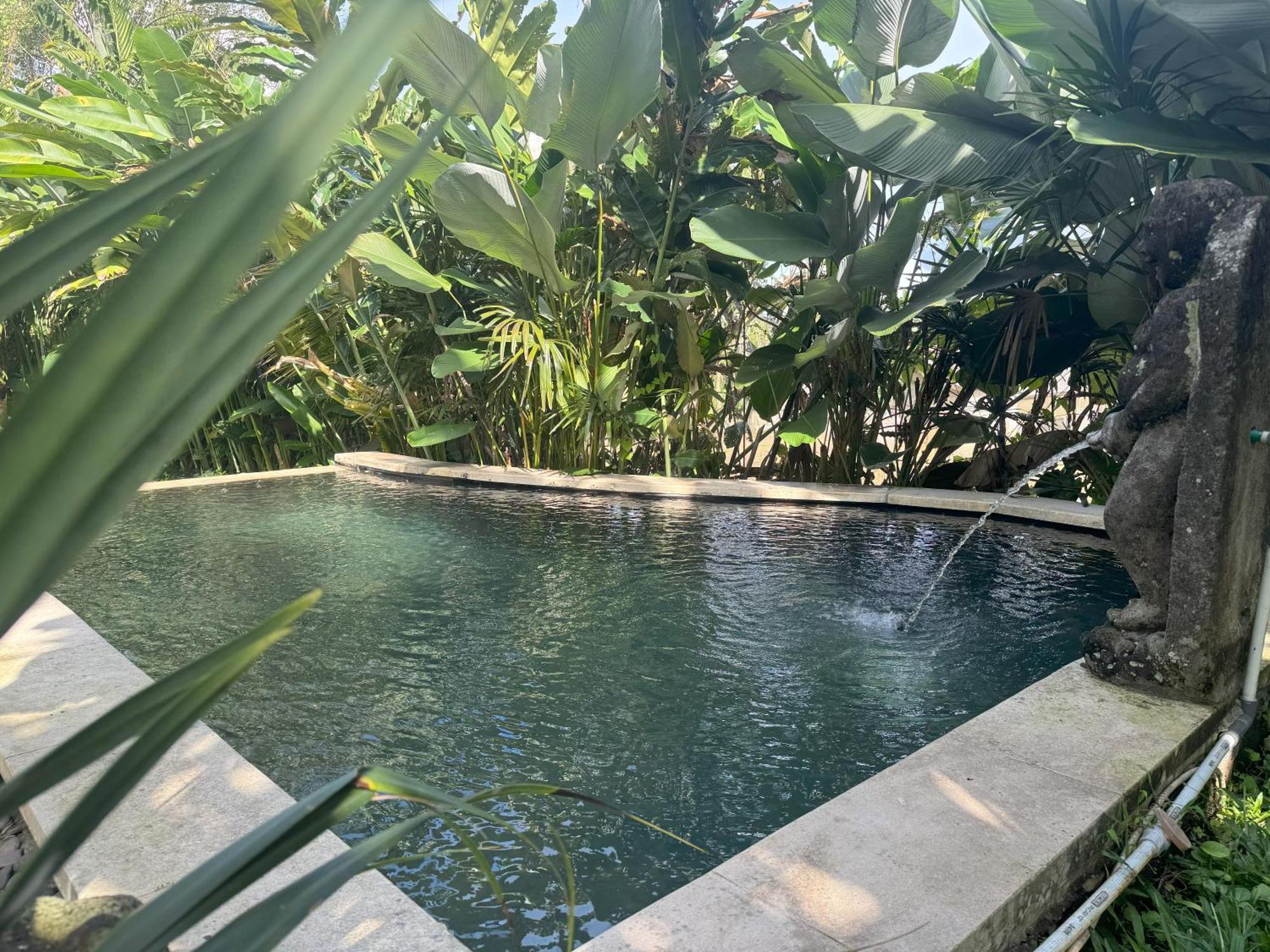 Dewa Jati Cottages 帕洋安 外观 照片