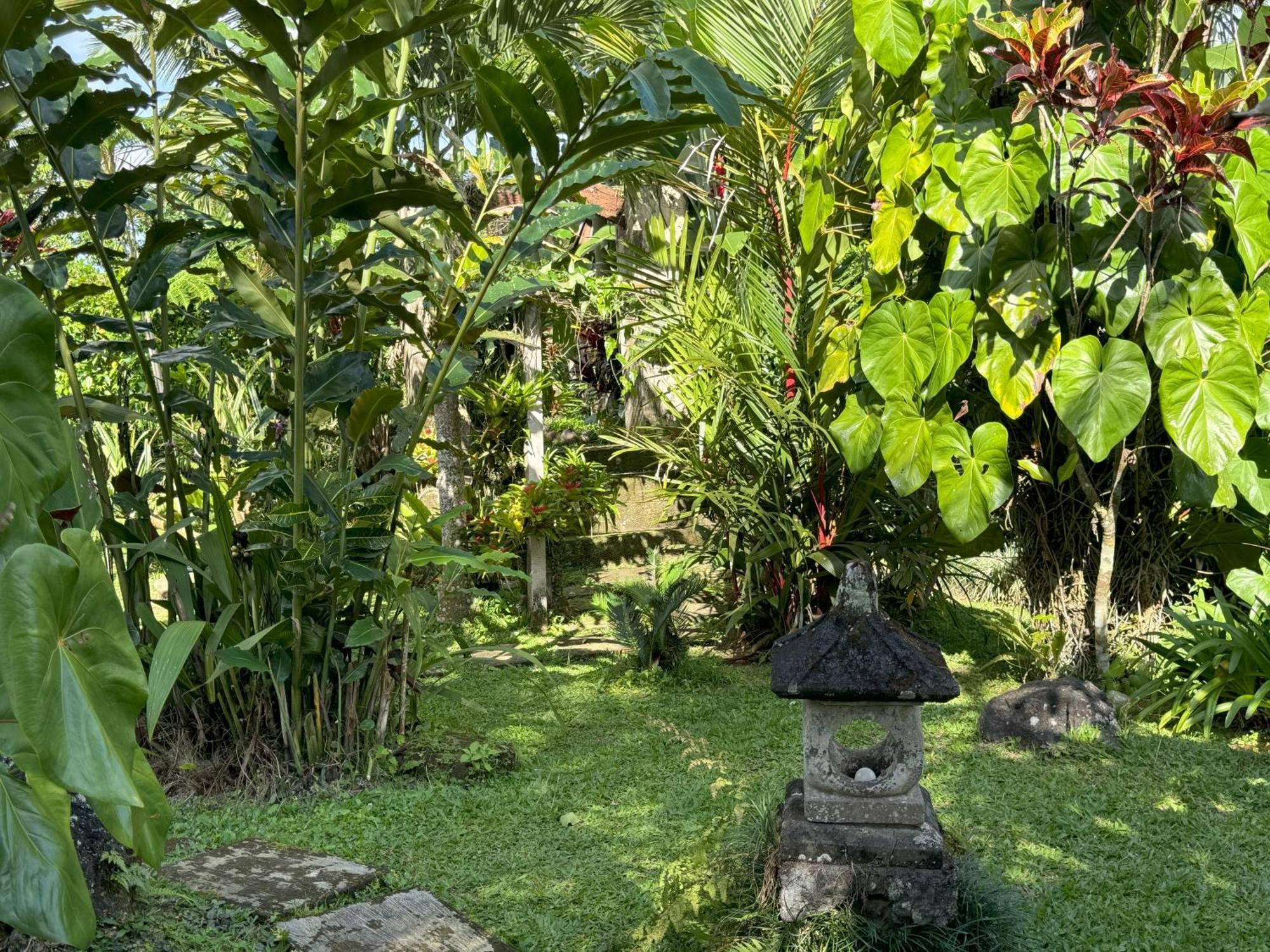 Dewa Jati Cottages 帕洋安 外观 照片