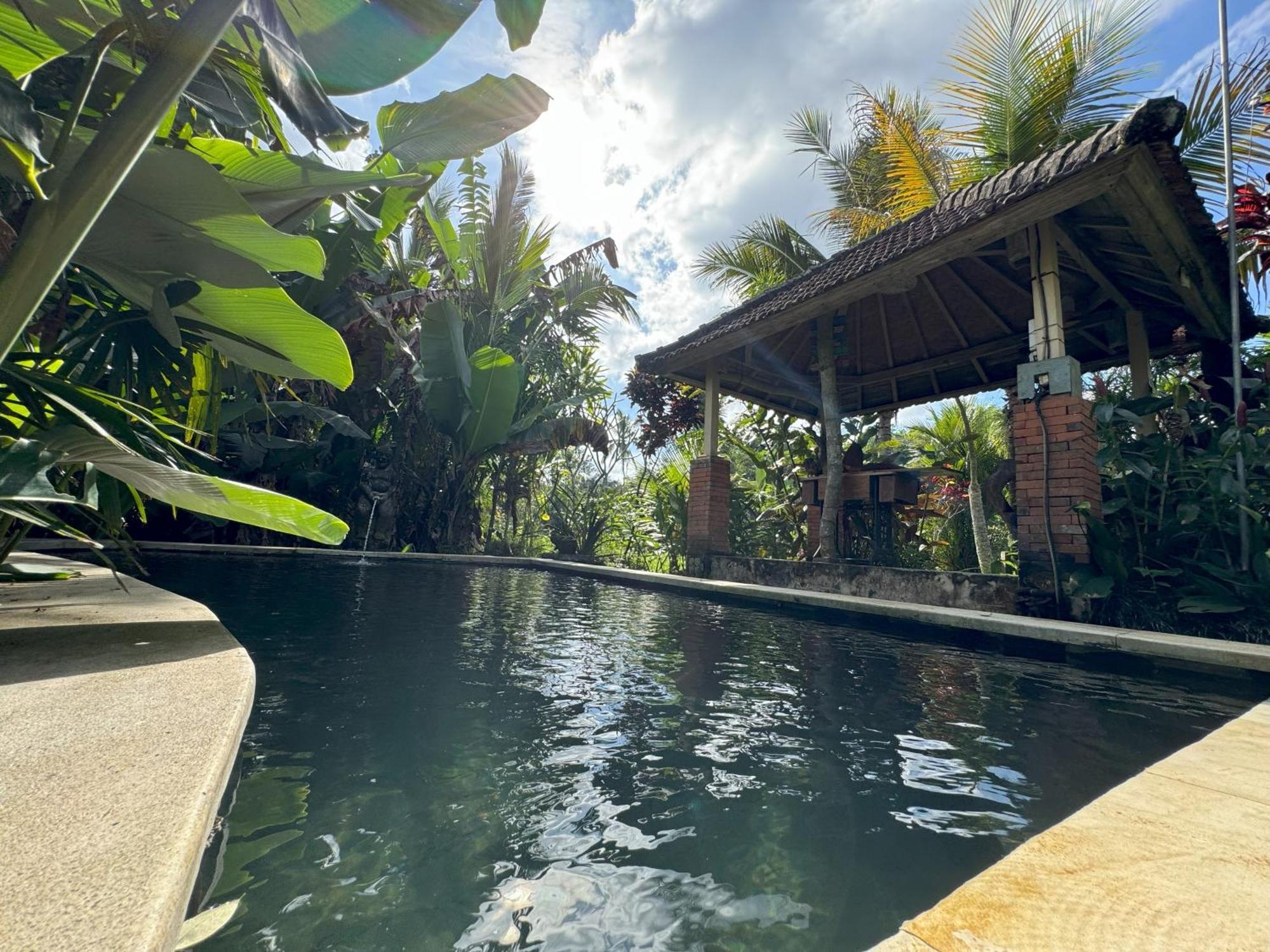 Dewa Jati Cottages 帕洋安 外观 照片