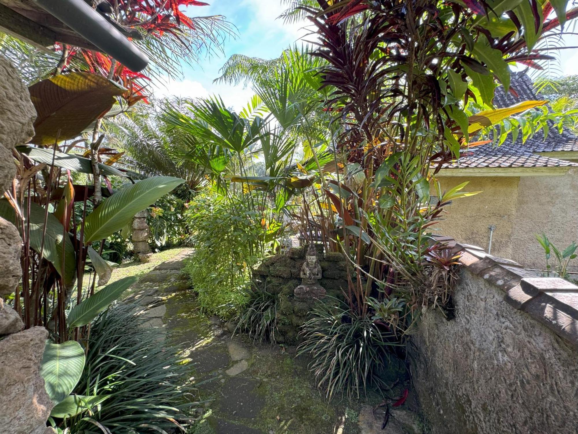 Dewa Jati Cottages 帕洋安 外观 照片