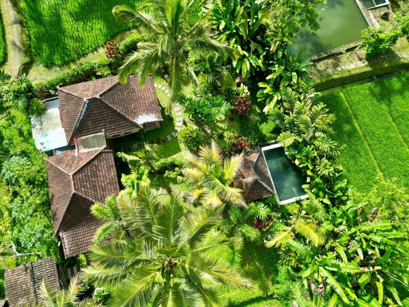 Dewa Jati Cottages 帕洋安 外观 照片