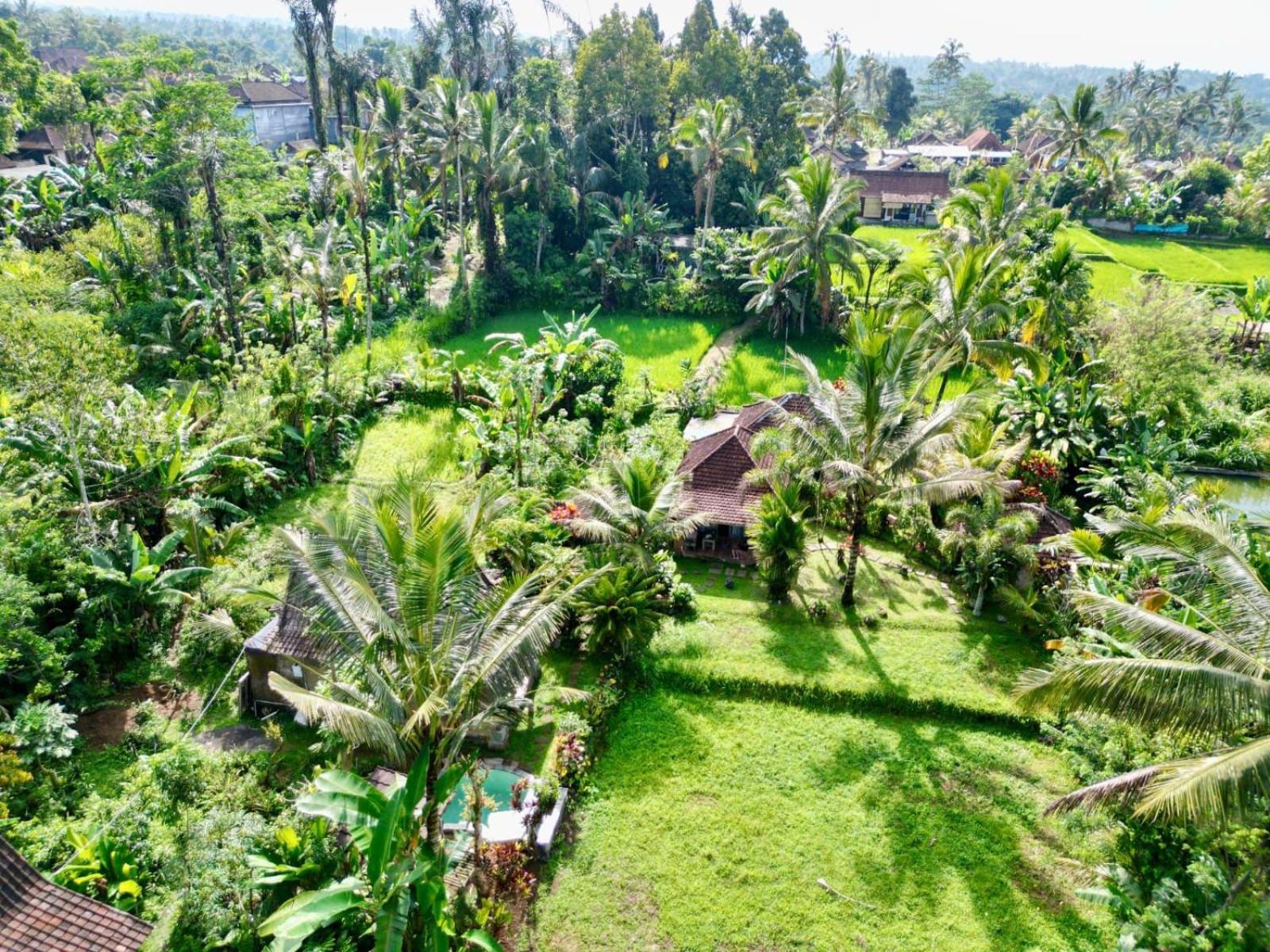 Dewa Jati Cottages 帕洋安 外观 照片