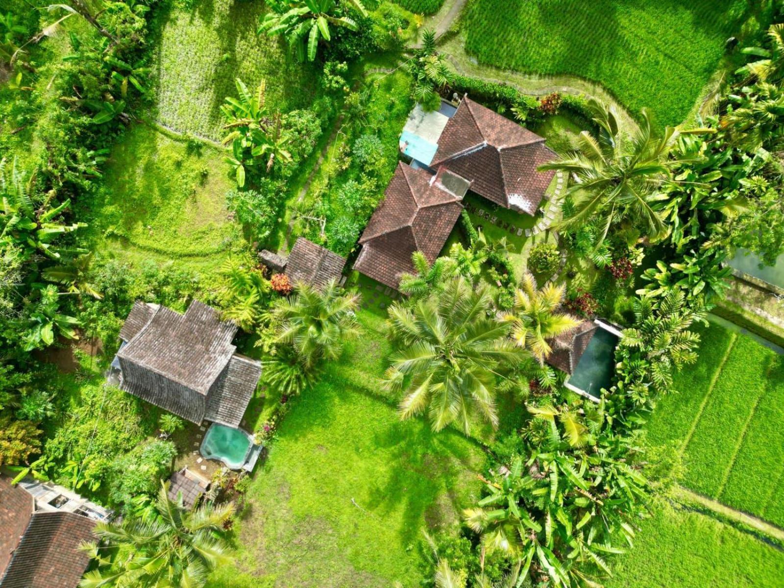Dewa Jati Cottages 帕洋安 外观 照片